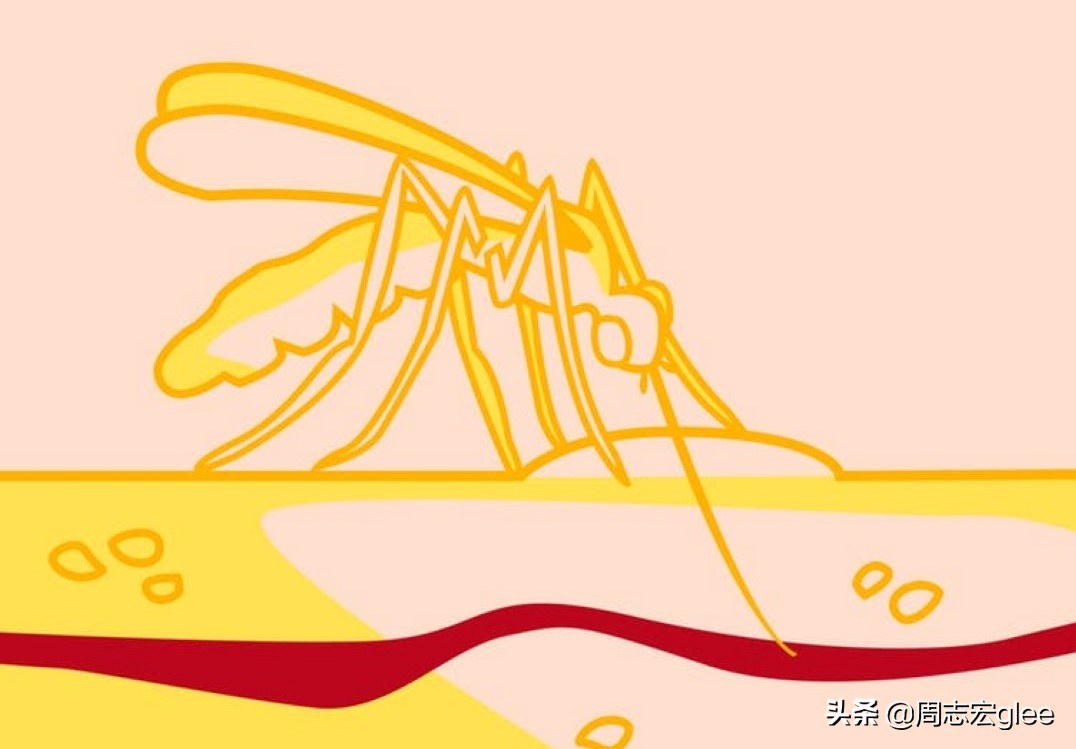 治疗蚊子咬后奇痒的药,跟蚊子咬的疙瘩一样奇痒无比