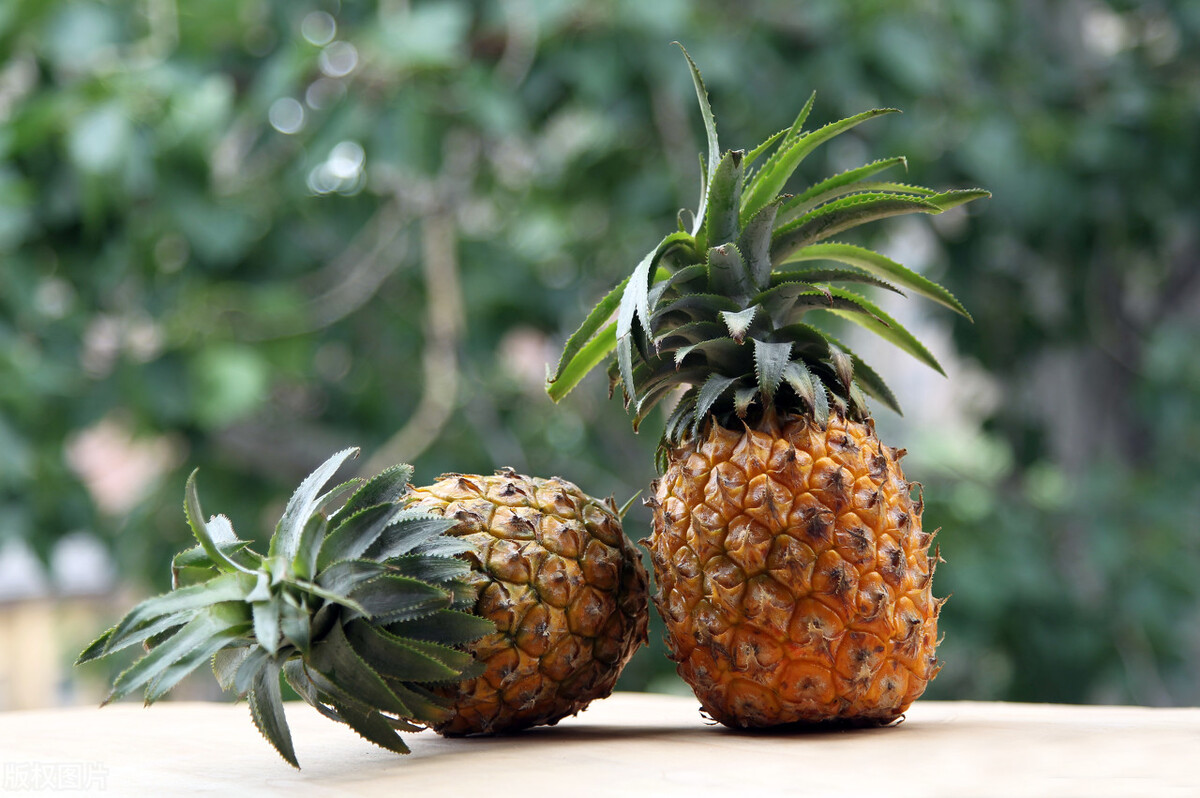 吃菠萝前要用盐水泡吗,吃菠萝之前要怎么用盐水泡