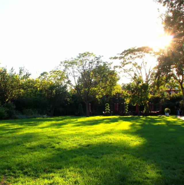 楼顶草坪花园设计效果图,花园草坪养护问题的成果概述