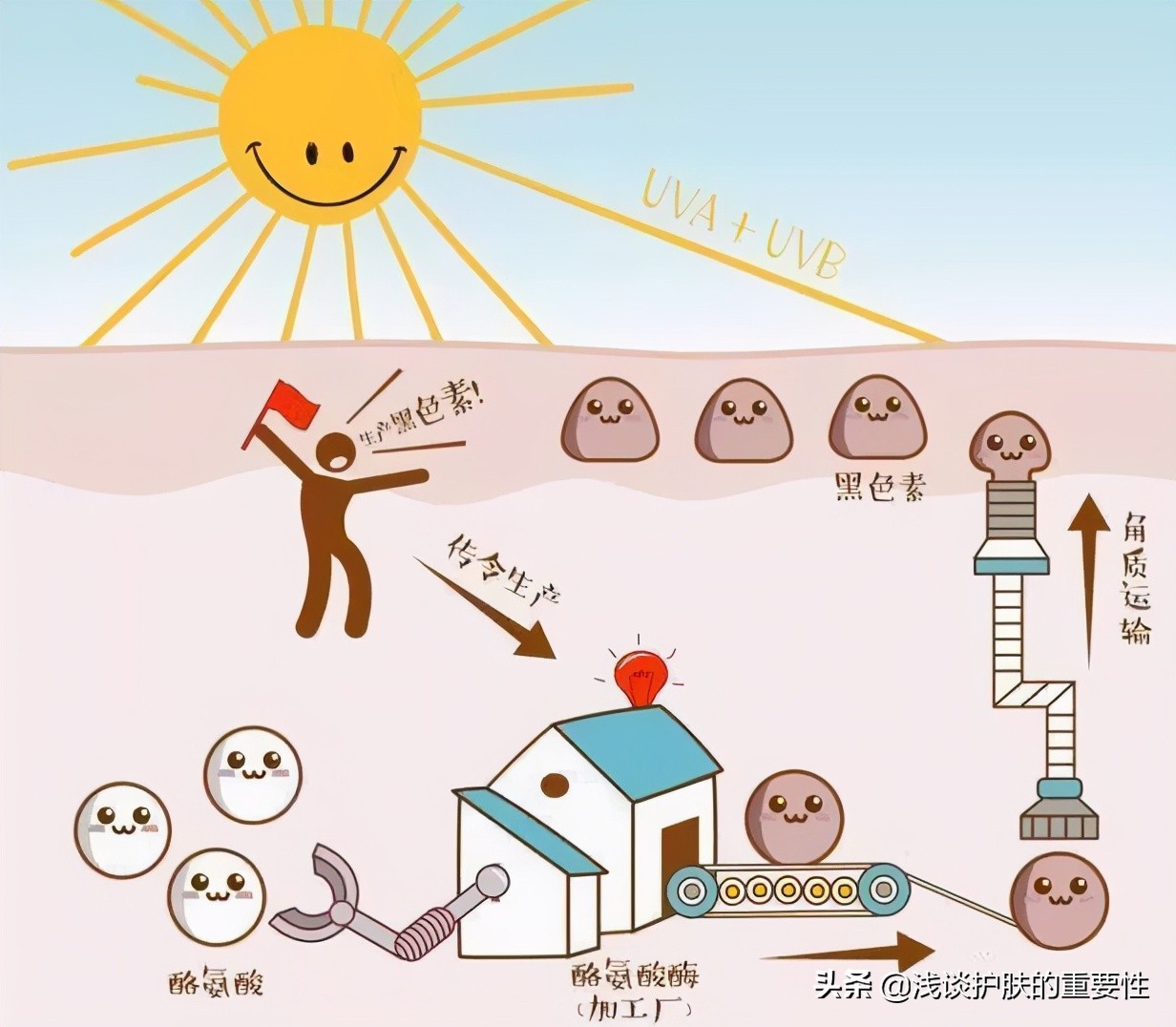 淡斑黑色素沉淀要什么成分护肤品,真实可以去除黑色素沉淀的精华