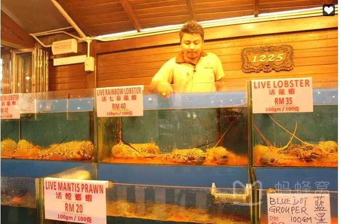 成都宝妈:孩子征服世界的第一站