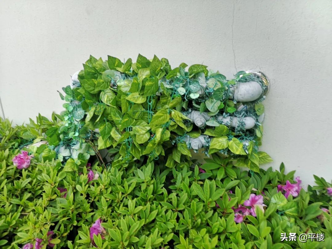 苏州木渎桃花源10亿一套,苏州桃花源整体分析