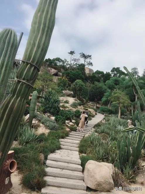 最坑的网红景点,寻物景点