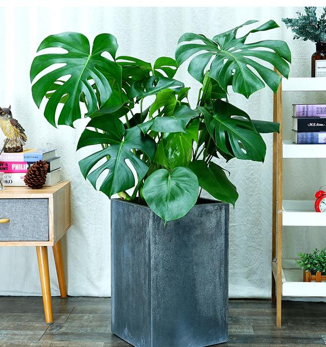 房子装修如何变高档,装修房子设计小妙招