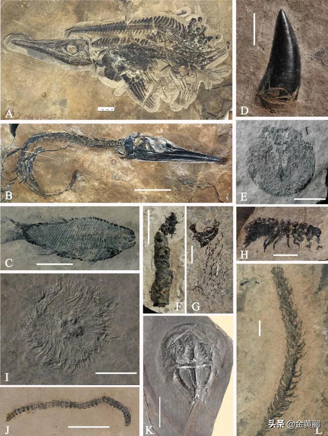 为什么云南女人长相好看,云南真的很漂亮吗