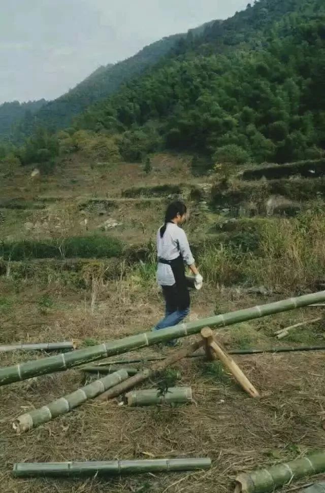 10年前，那个花83元穷游*藏西**的姑娘，后来怎么样了？