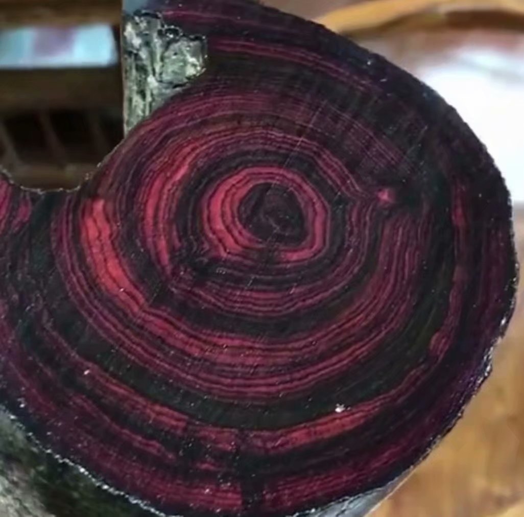 海南黄花梨和小叶紫檀金丝楠木,缅甸花梨和海南黄花梨的图片对比