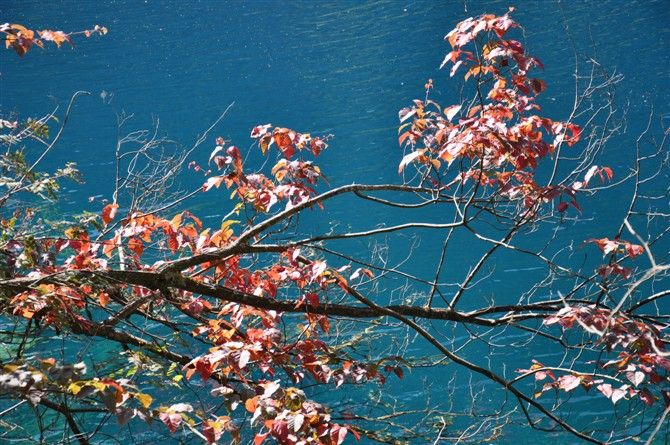 成都九寨沟几月份去好,九寨沟和稻城几月份去