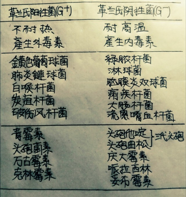 医学中阴性和阳性代表什么,革兰氏阳性菌医学意义