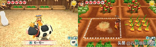 牧场物语最全攻略,牧场物语攻略经典
