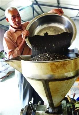 农村创业50个项目官网,农村种植业创业项目大全