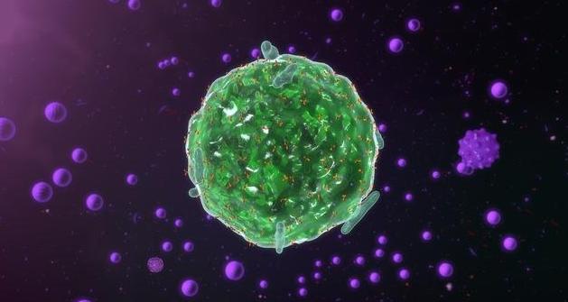 肝癌治疗新技术靶向药物,肝癌晚期免疫治疗肿瘤效果好吗