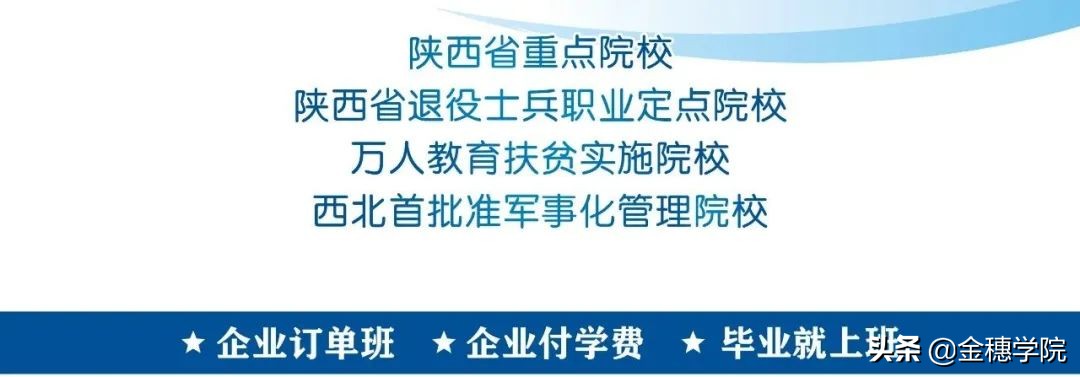 陕西金穗国际汽车学院是大专吗,陕西汽车技师学院春季招生
