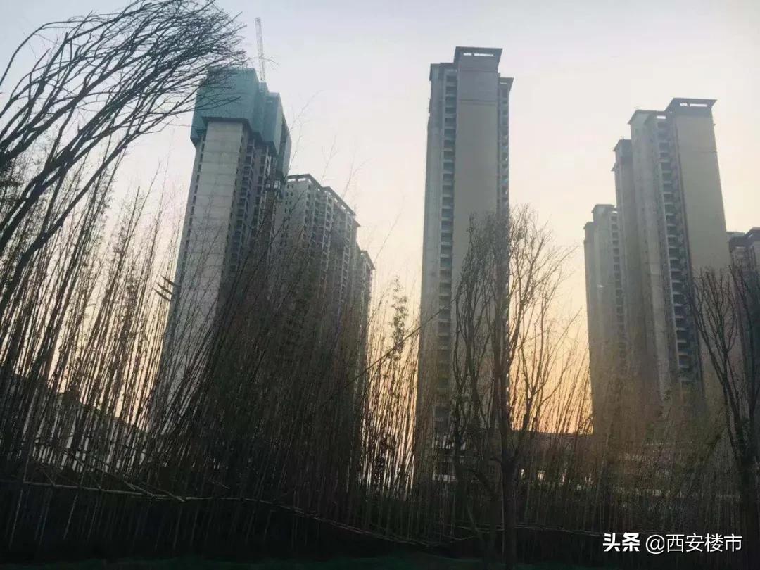 滨江翡翠城今天开盘卖的怎么样,翡翠城二期现状