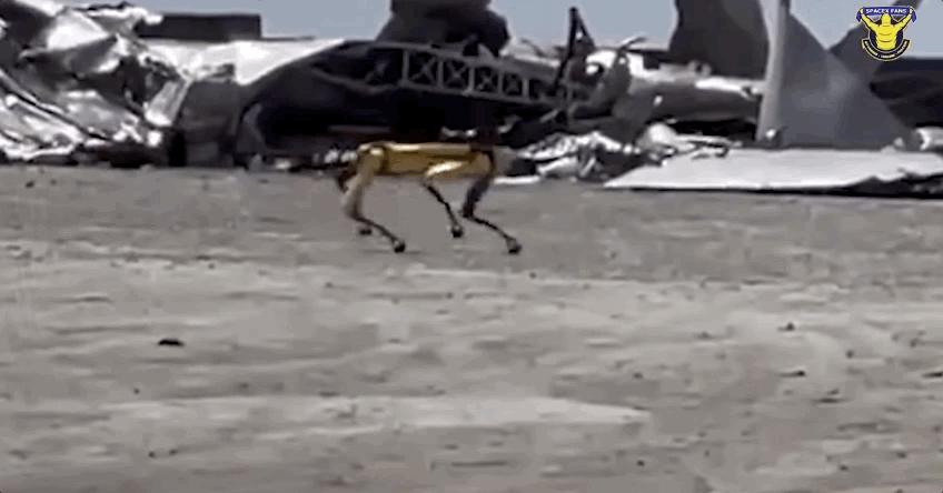 雷军发布会翻车名场面机器狗,铁蛋发布会雷军