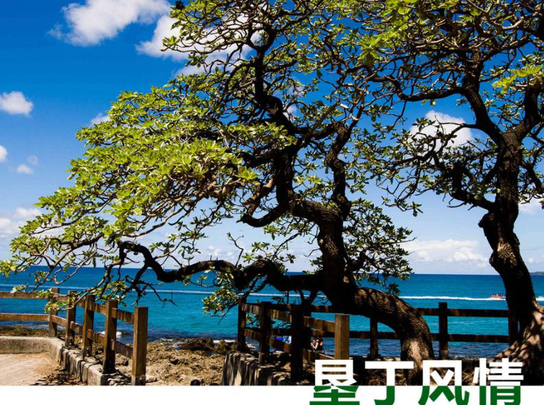 去台湾跟团游还是自由行,台湾跟团游最新