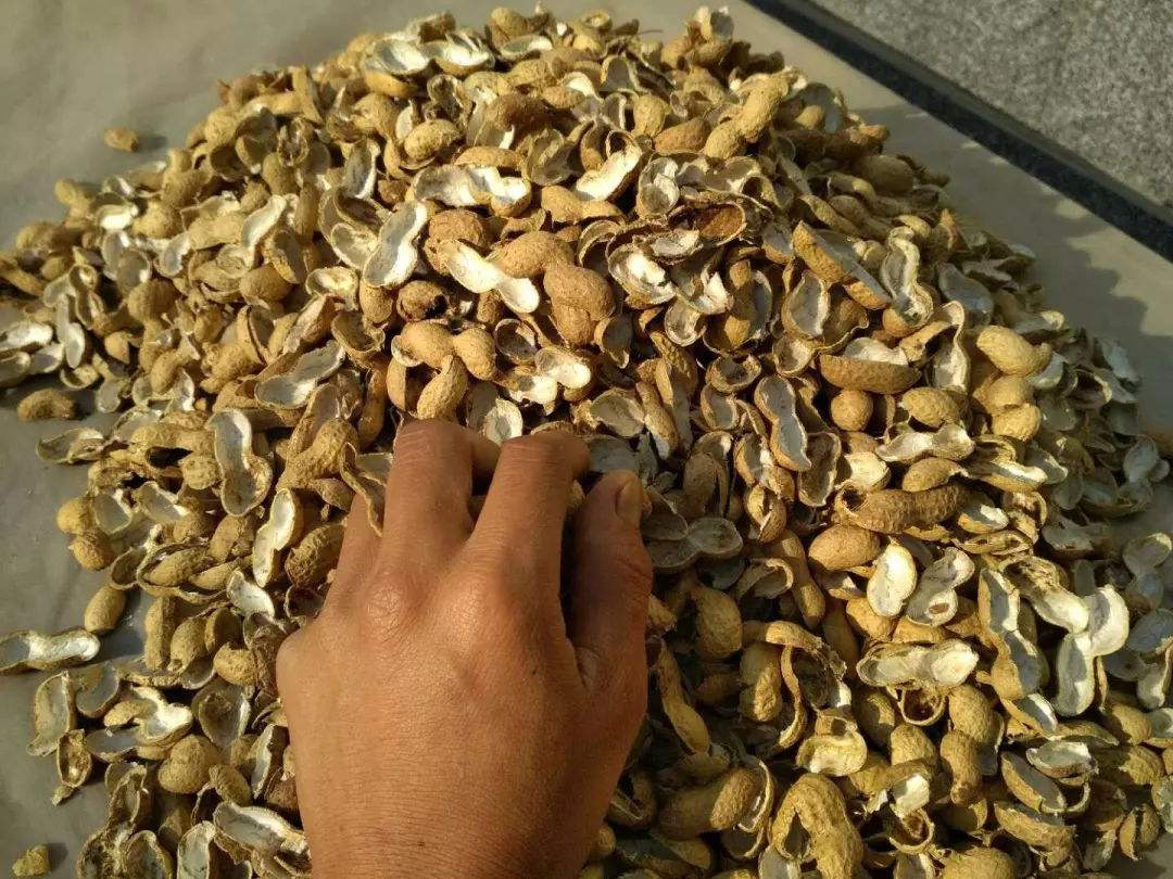 家家都有的“废料”，掰碎垫“盆底”，保温又透水，10年不烂根