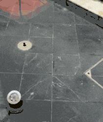 搞笑gif开心一刻这才是真正的赢家,开心一刻gif笑死人