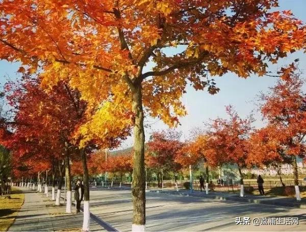 骄傲!桂林电子科技大学,这下又在全国出名了