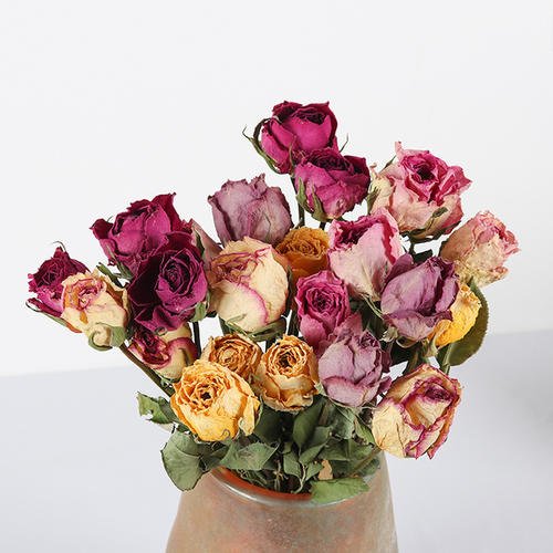 鲜花怎么保养成干花,鲜花变干花如何能保持原色