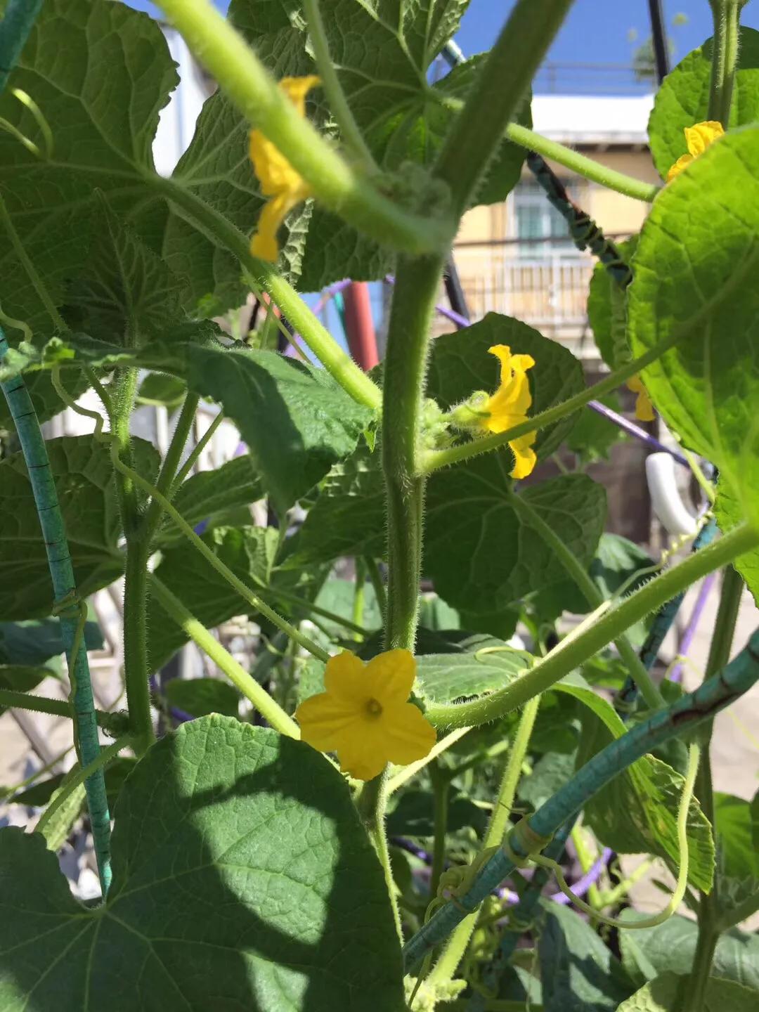 厦门曾厝垵民宿招聘前台,厦门曾厝垵民宿怎么样