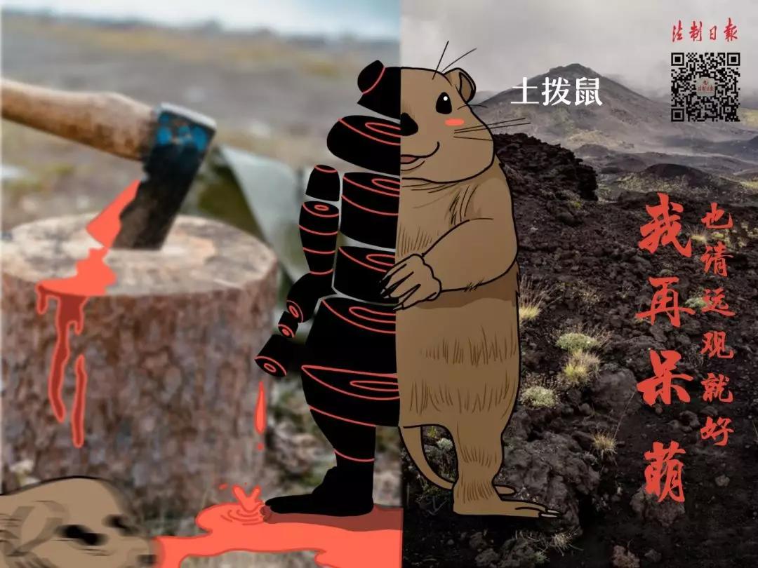 拒绝野味成为自觉行为,拒绝野味管不住嘴