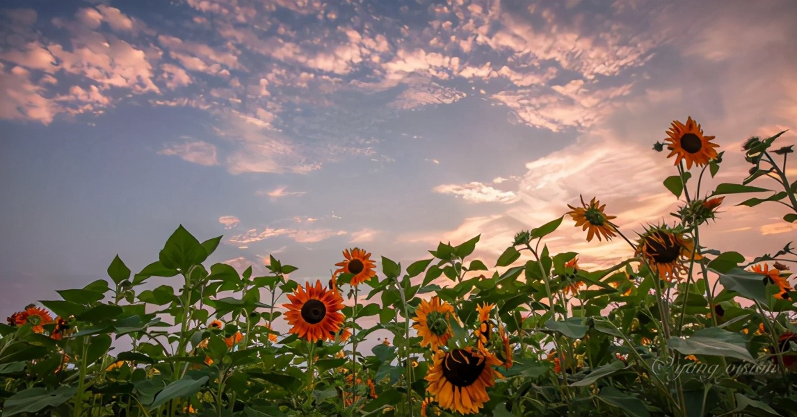 故事：离开多年她重回小城，暗恋男神得知后，冒着风雪赶来告白