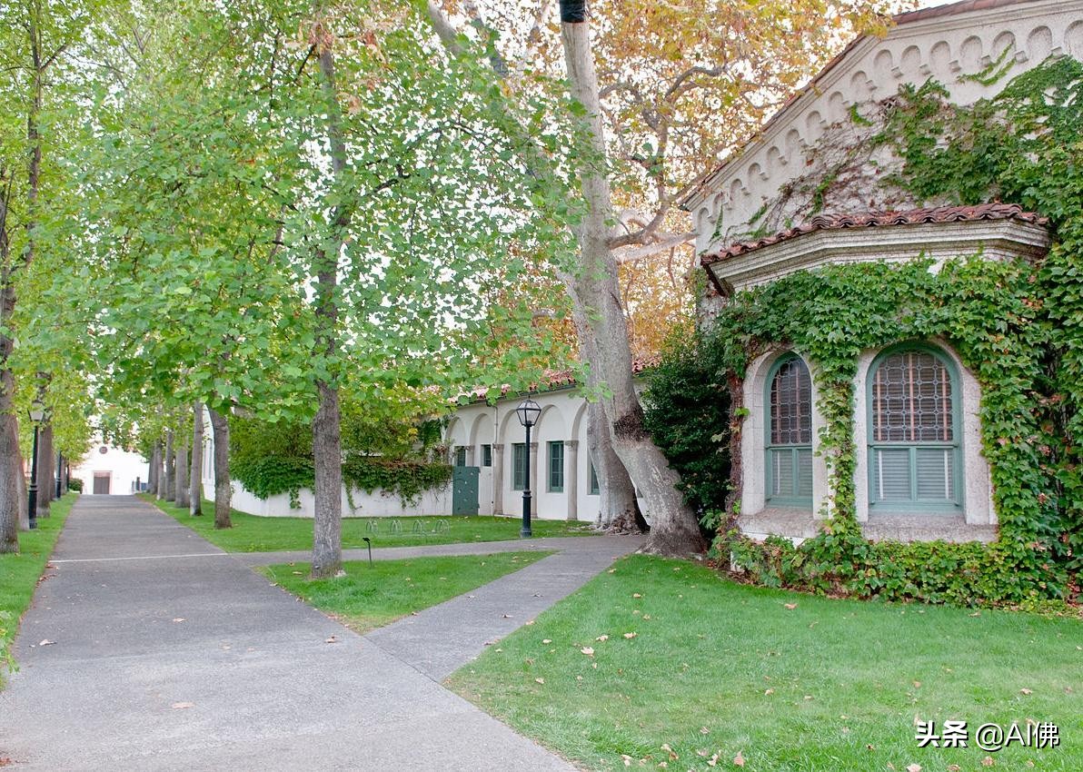 美国前100名大学,美国100所顶尖公立大学