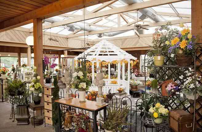 开一家花店需要学什么专业知识,新手开花店全部流程