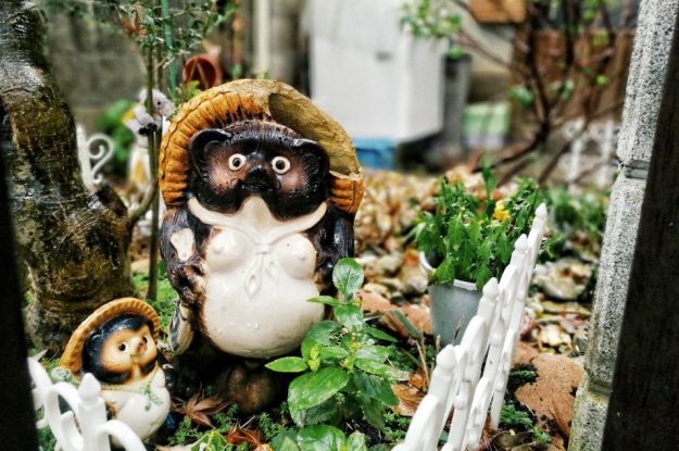 王思聪和李易峰关系有多好,王思聪和李易峰的区别