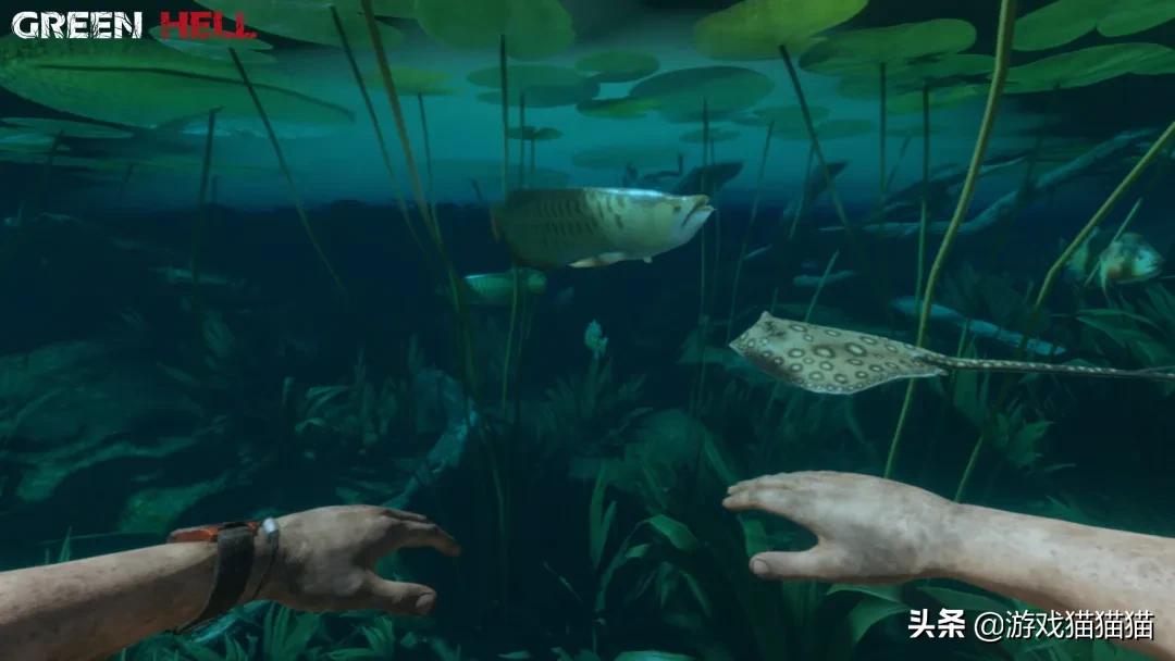 steam最后生还者1值得买吗,steam最后生还者折扣