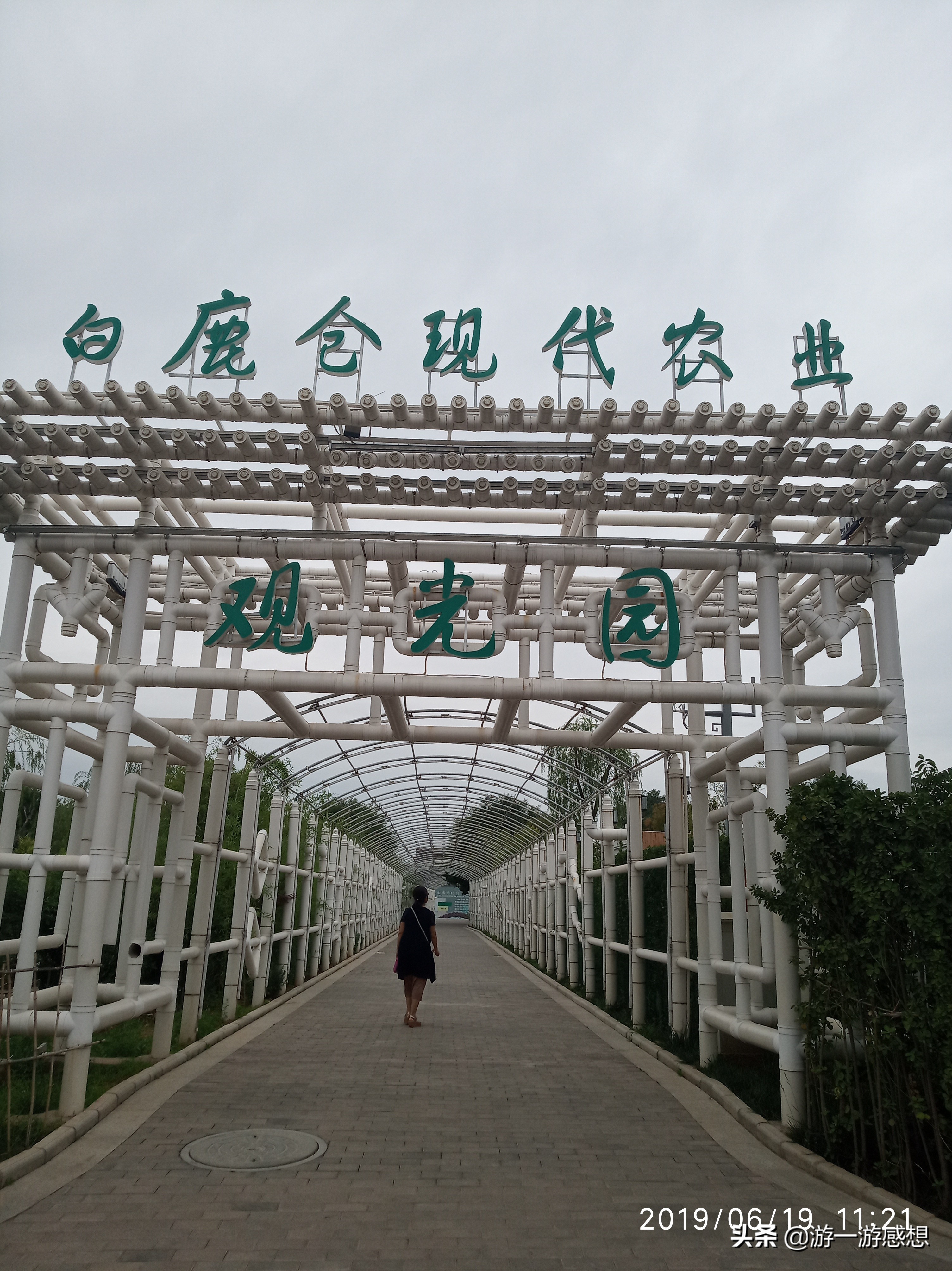 白鹿原和白鹿仓是一个景点吗,白鹿原白鹿仓景点