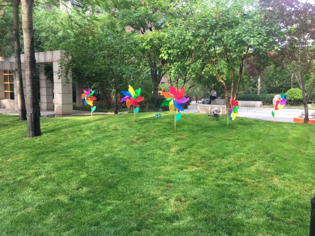 实探44中学区房,实探二手学区房