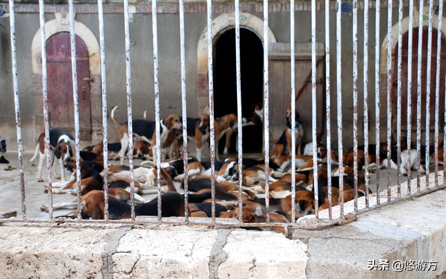 舍维尼城堡：追随丁丁探险的脚步