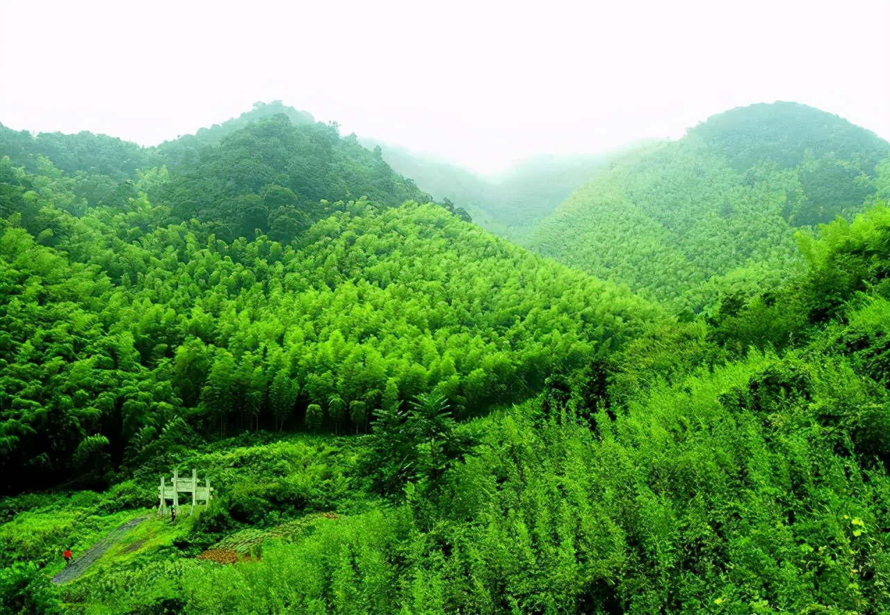 热҈热҈热҈热҈热҈！余杭超“清凉”景点集合