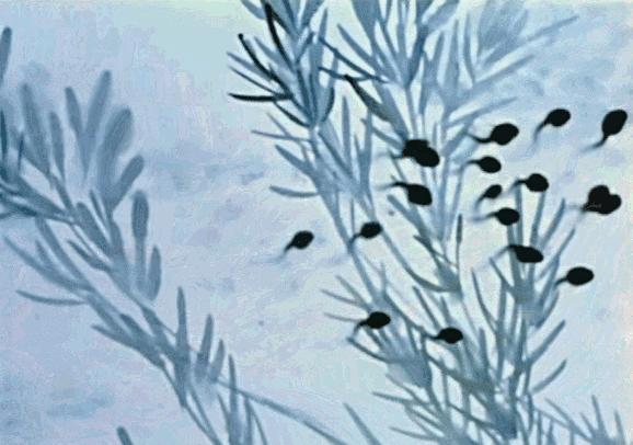 大牌护肤品哪种主打美白,大牌护肤品最好的牌子