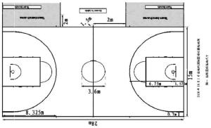 篮球是怎么来的幼儿园小班课题,篮球的历史发展史
