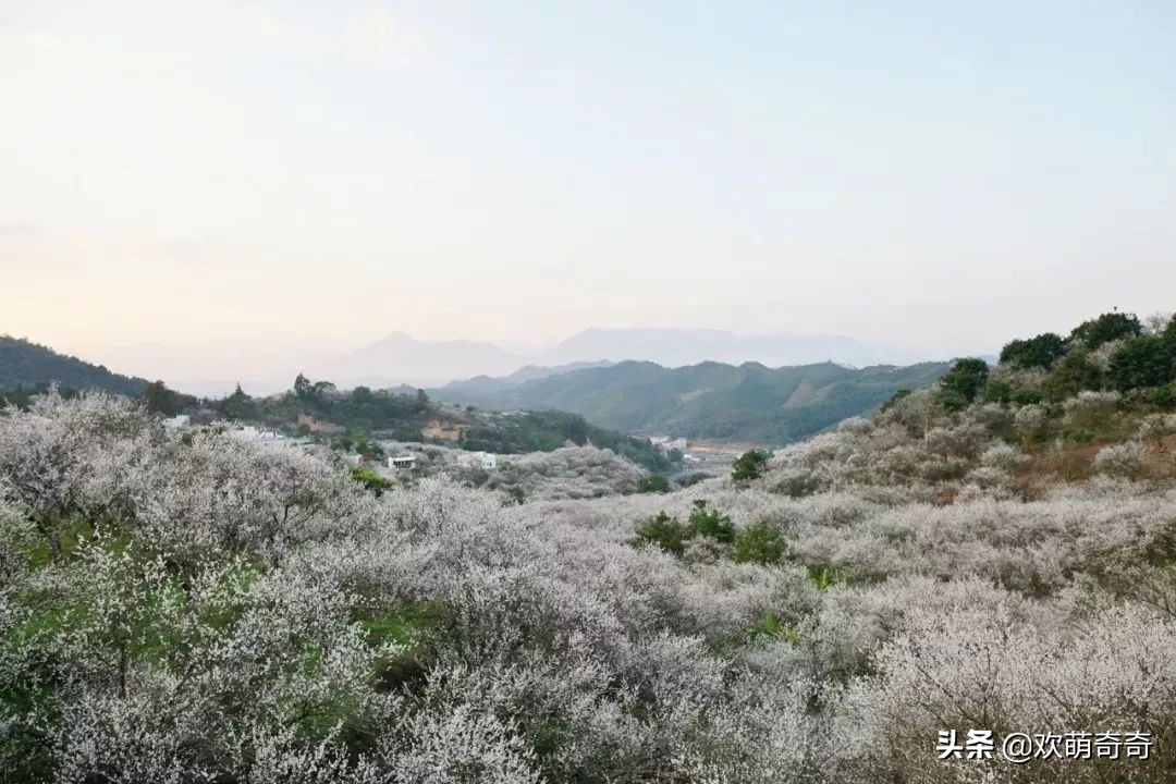 御水温泉陆河,御水湾温泉度假d区