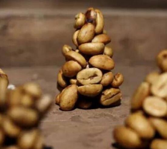 椰子猫吃东西,椰子猫喂咖啡豆