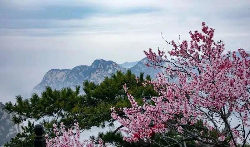 速收！如何玩转重启后的华山，看这篇就对了