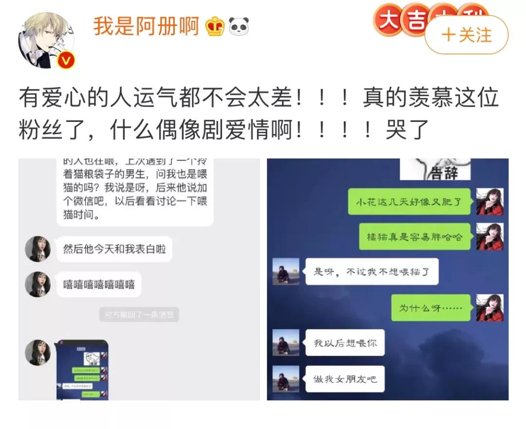 给我家猫新交了一个嘚瑟的朋友,我家猫送亲戚了准备再养一只猫