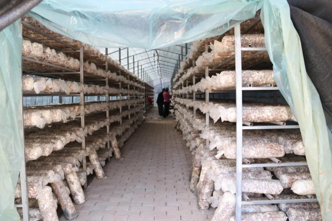 鲁甸卯家湾易地搬迁安置项目,鲁甸卯家湾搬迁摇号分房