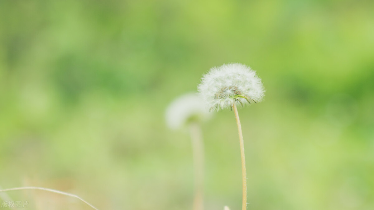 微甜的套路推文,推文言情小甜饼