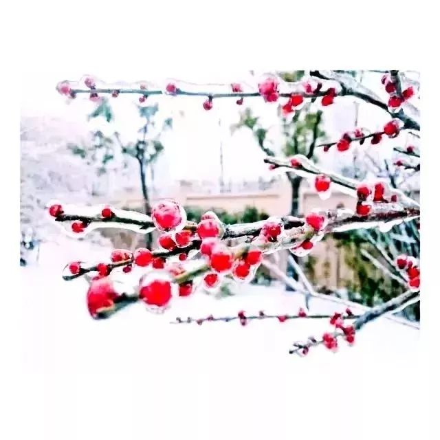 安庆高等医药职业学校,安庆医药高等专科学校2020年单招