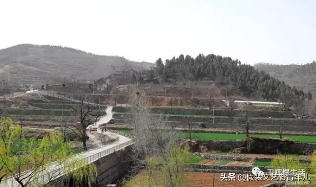 卫辉人那些昼思夜想的桥!究竟有何魔力?