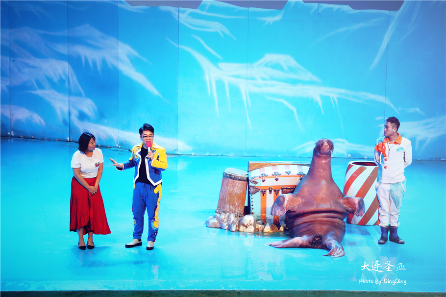 北方明珠活力四射的浪漫之都大连，国内最具特色的海洋世界圣亚