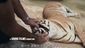 疫情中全美国都在安利这疯子电影