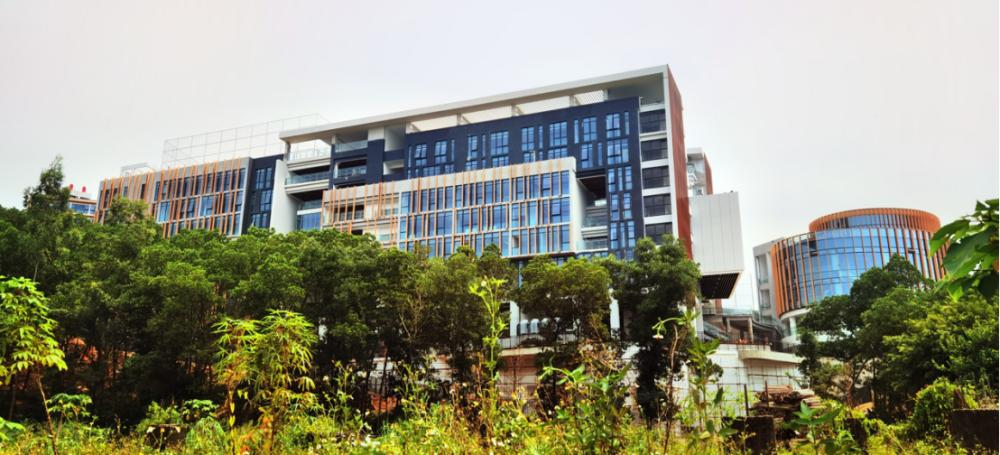 广州黄埔爱莎外籍人员学校,广州黄埔美国人外籍人员子女学校