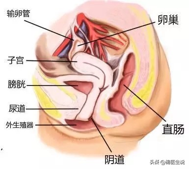 小便刺痛是不是尿道炎,小便刺痛尿道炎怎样治疗