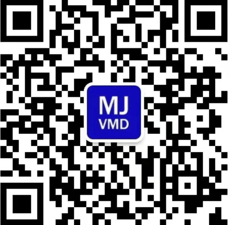 MJVMD小百货、饰品类设计作品集